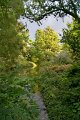 0085Arboretum Vallee aux loups